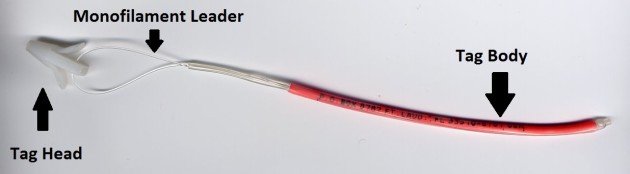 Figure 2. Tag Components