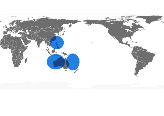 BLACK MARLIN STOCK STRUCTURE