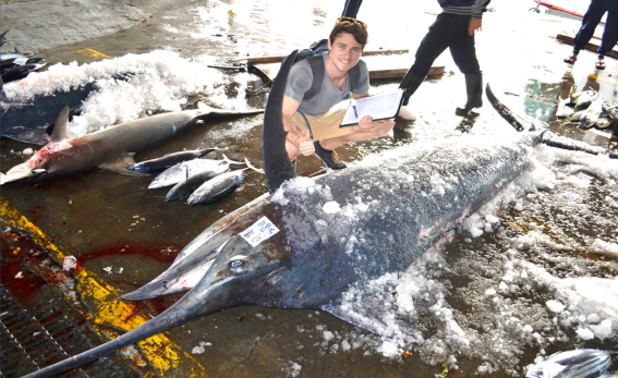 sam williams 284kg black marlin