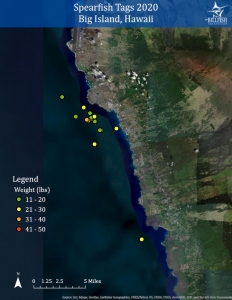 Spearfish tagging map for Hawaii 2020