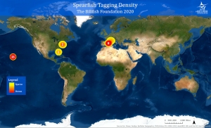 Spearfish tagging density map for 2020